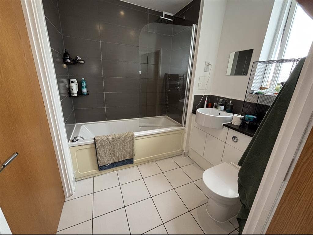 Looking for a new roommate :)