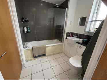 Looking for a new roommate :)
