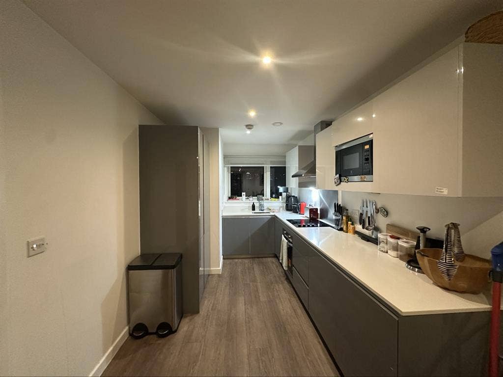 Looking for a new roommate :)
