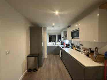 Looking for a new roommate :)