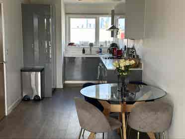 Looking for a new roommate :)