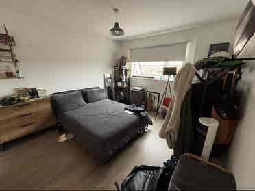 Looking for a new roommate :)