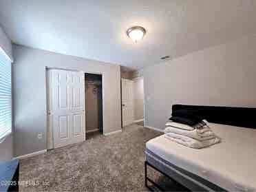 Looking for a roommate