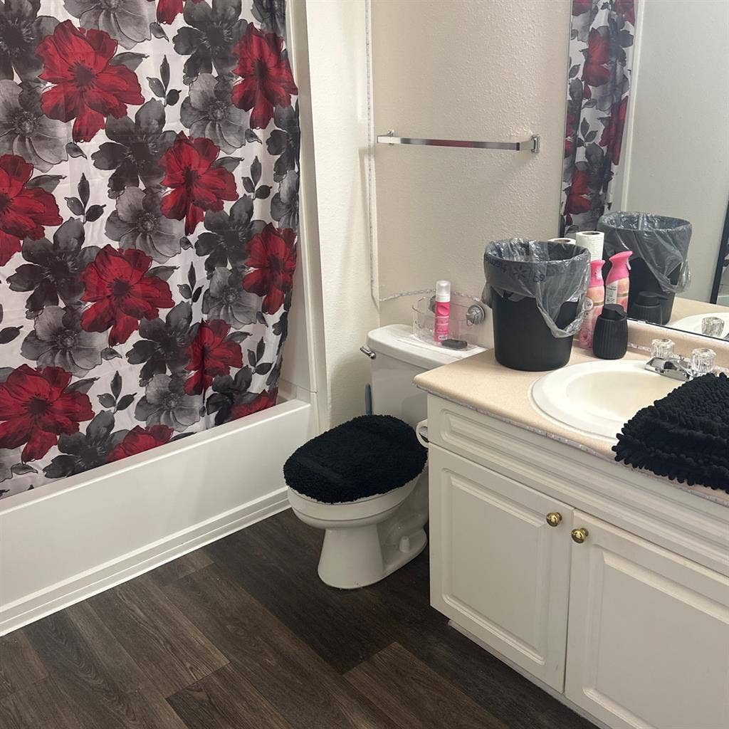 Seeking Roommate in Lake Wylie area