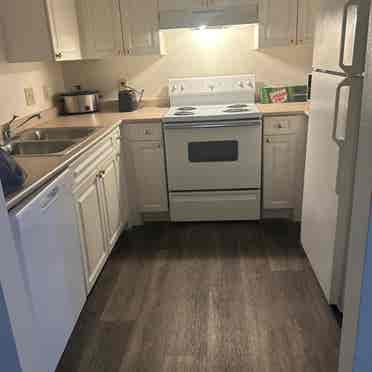 Seeking Roommate in Lake Wylie area