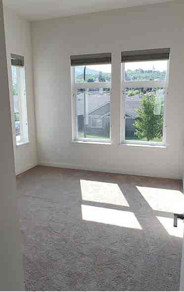 Looking for a roommate
