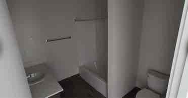 Looking for a roommate