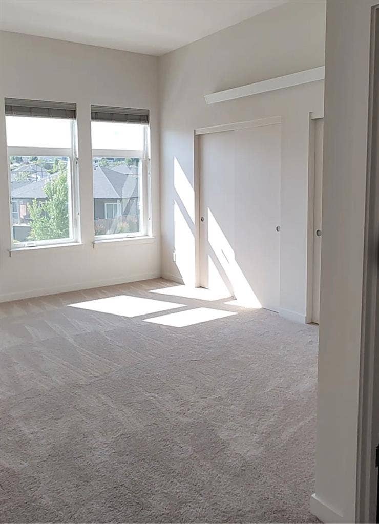 Looking for a roommate