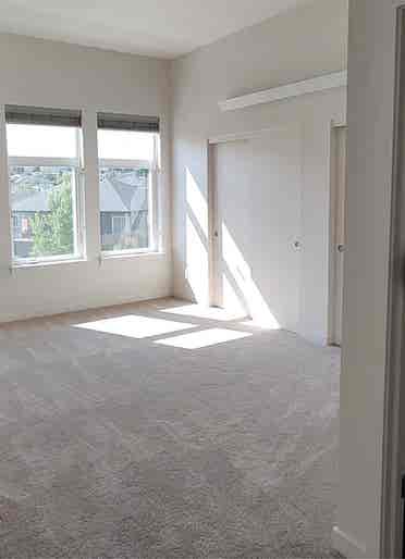 Looking for a roommate