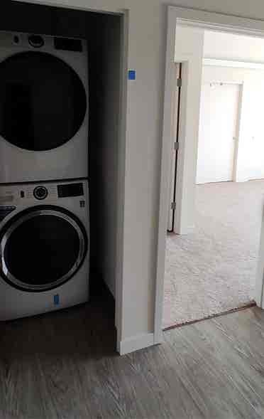 Looking for a roommate