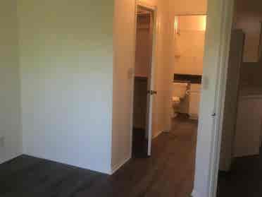 Roommate Wanted