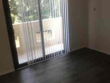 Roommate Wanted
