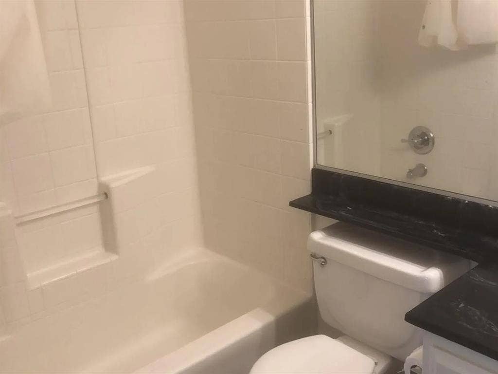 Roommate Wanted
