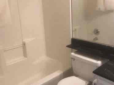 Roommate Wanted