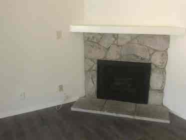 Roommate Wanted