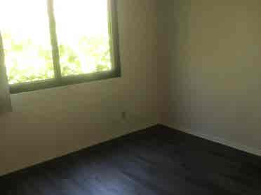 Roommate Wanted
