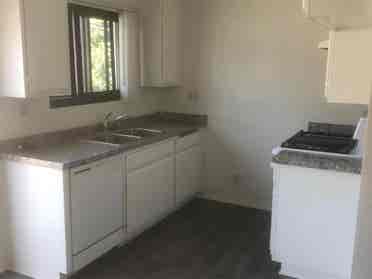 Roommate Wanted