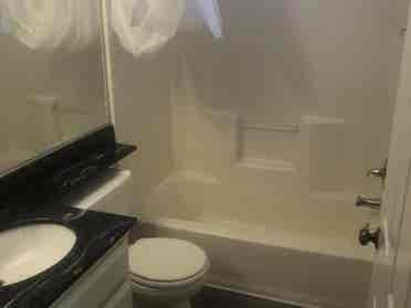 Roommate Wanted
