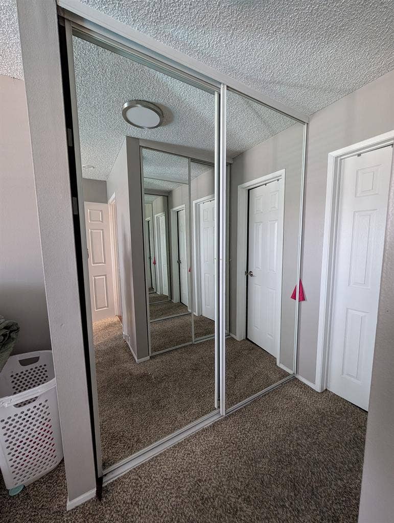 Busco Roomate female
