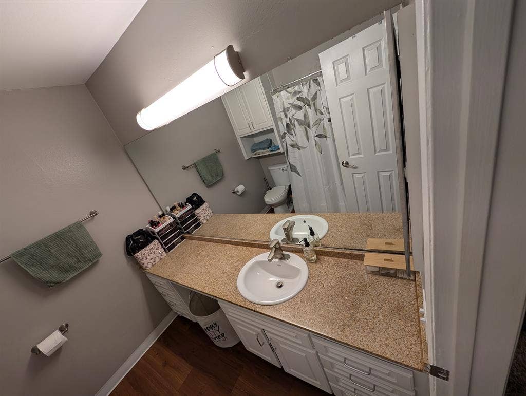 Busco Roomate female