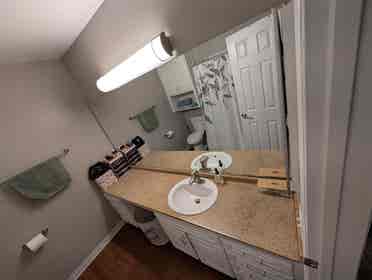 Busco Roomate female