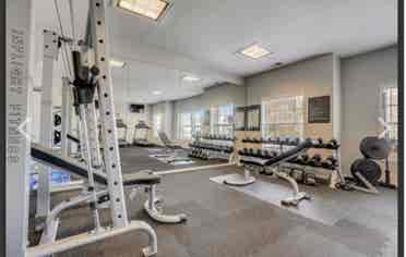 Roommate wanted! Pet friendly!