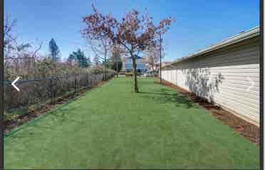 Roommate wanted! Pet friendly!
