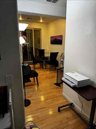 Looking for single female roomate
.