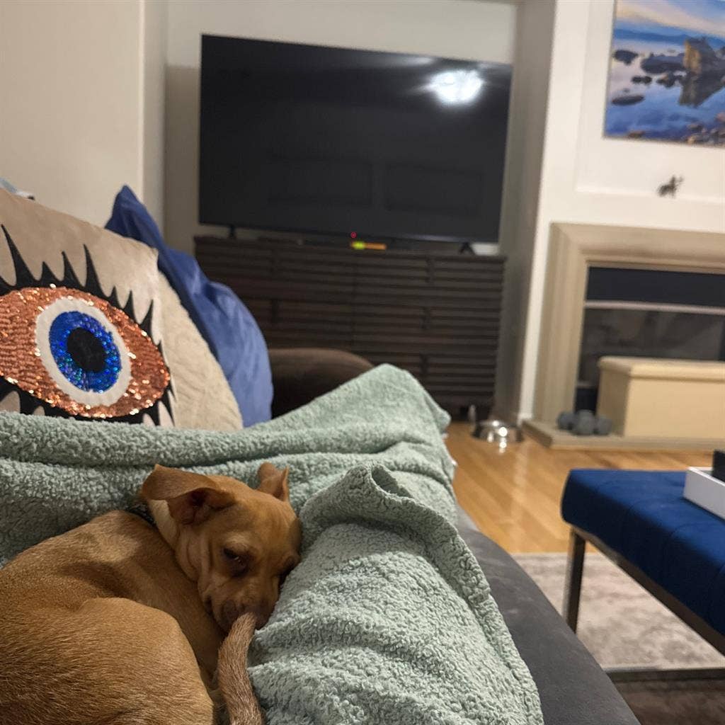 Looking for
roomate to share house.