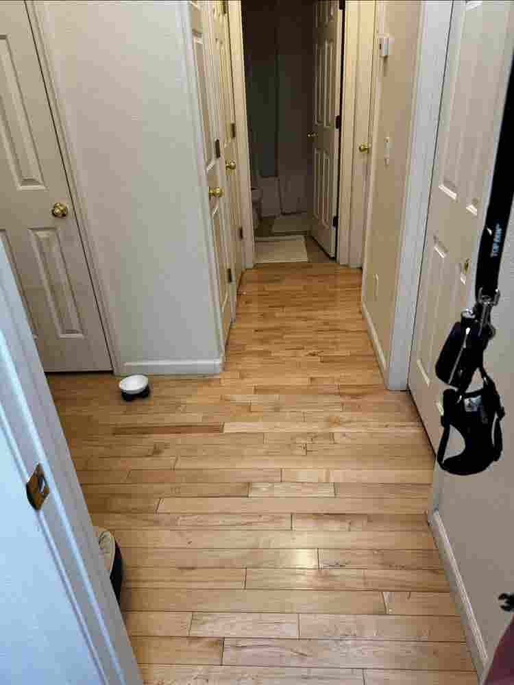 Looking for single female roomate
.
