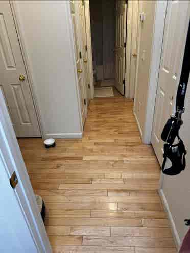 Looking for 
roomate to share house.
