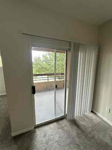 looking for a roommate