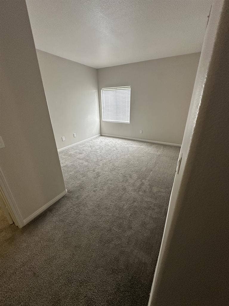 looking for a roommate