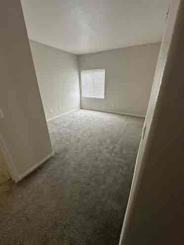 looking for a roommate