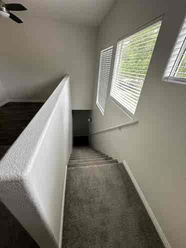 looking for a roommate