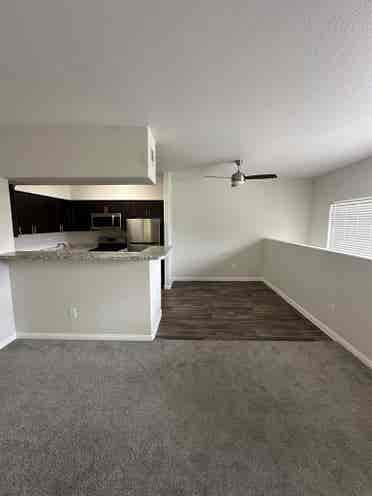 looking for a roommate