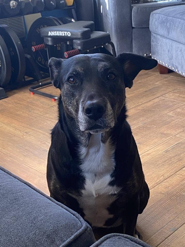 Room in Beautiful Rockaway Beach!