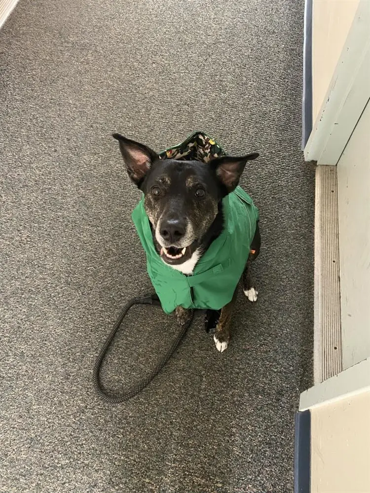 Room in Beautiful Rockaway Beach!