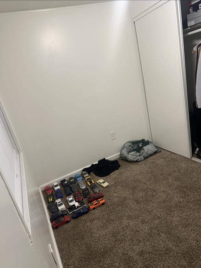 Temporary roommate