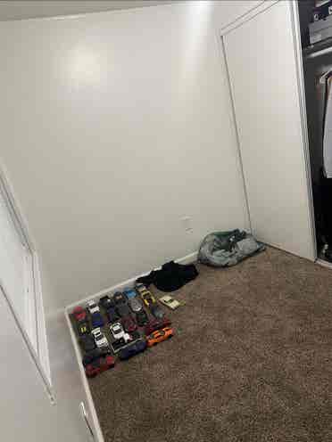 Temporary roommate