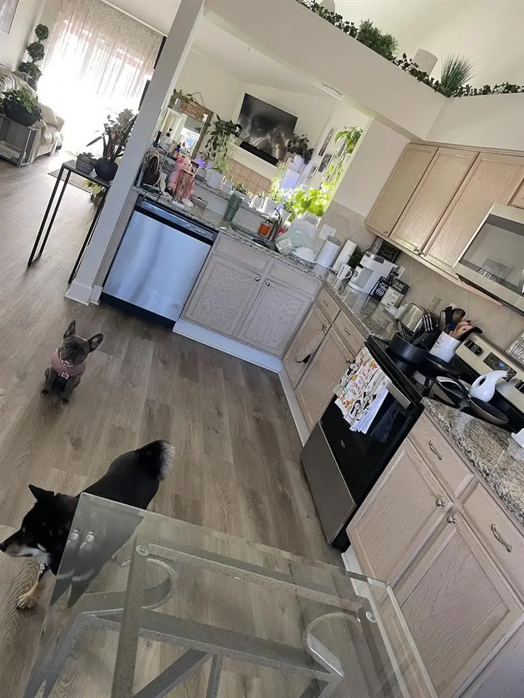 Private room with shared bathroom