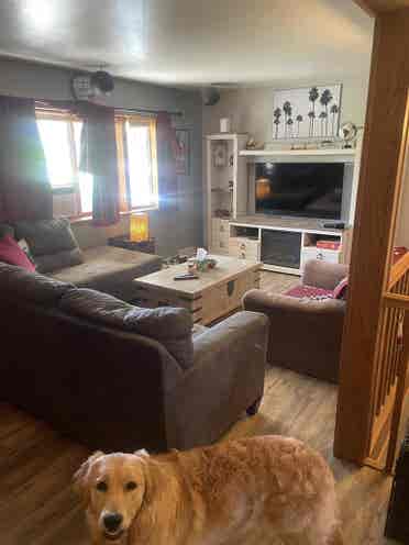 Filling 1 room by June 1st
