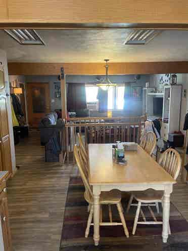 Filling 1 room by June 1st