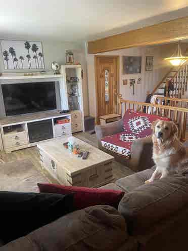 Filling 1 room by June 1st