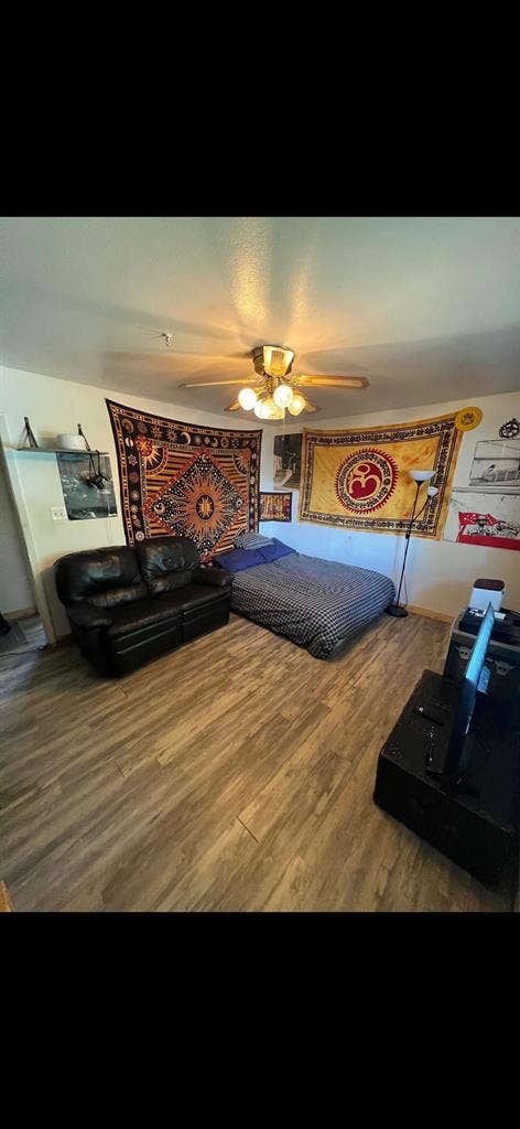 Filling 1 room by June 1st