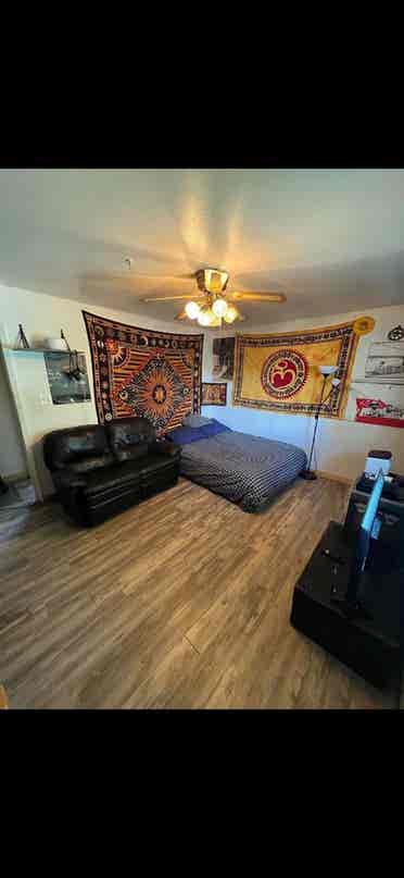 Filling 1 room by June 1st
