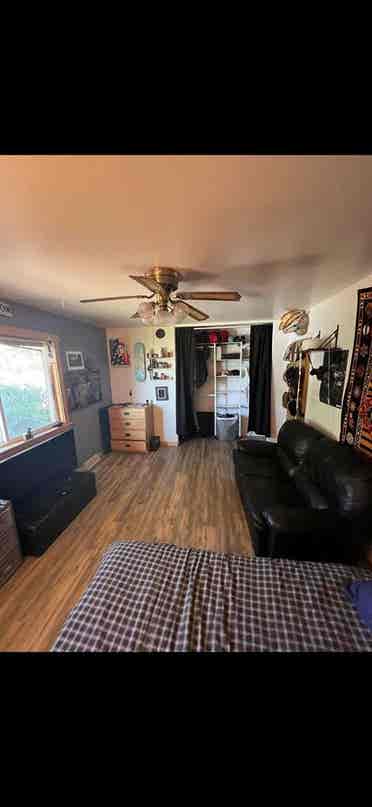 Filling 1 room by June 1st