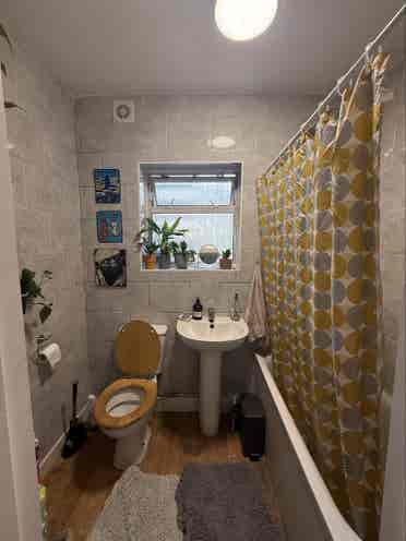 Double room in 2 bed flat