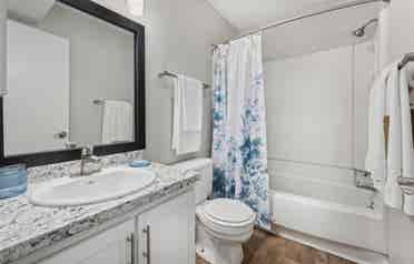 Looking for a Roomate!