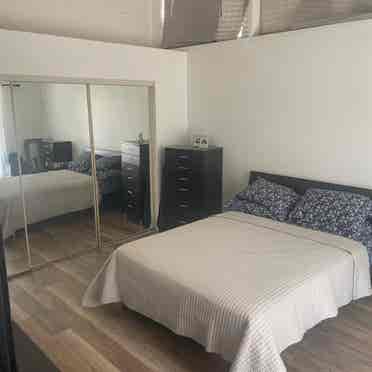 Renting Furnished Studio